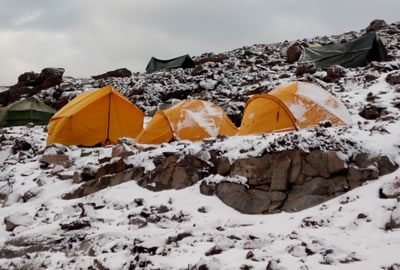Breathtaking lemosho route for seven to eight days to the top.
